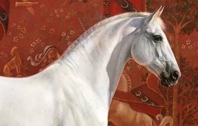 Neue Besprechung: Nelio Biedermanns „Lázár“