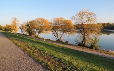IKGS-Direktor Dr. Florian Kührer-Wielach beim Donausalon in Ulm | 17.10.2025, 19 Uhr