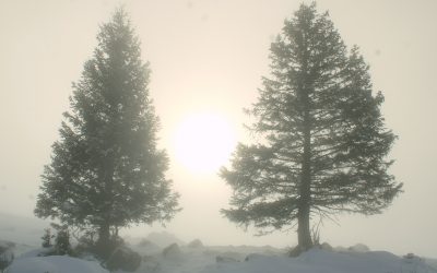 Wir machen Winterpause