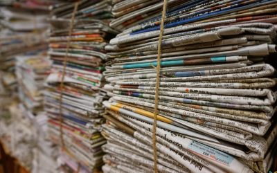 Neuer Artikel in der Siebenbürgischen Zeitung 