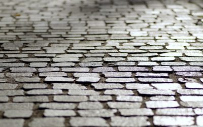 IKGS-Direktor Dr. Florian Kührer-Wielach Teil der Straßennamenkommission Unterschleißheims